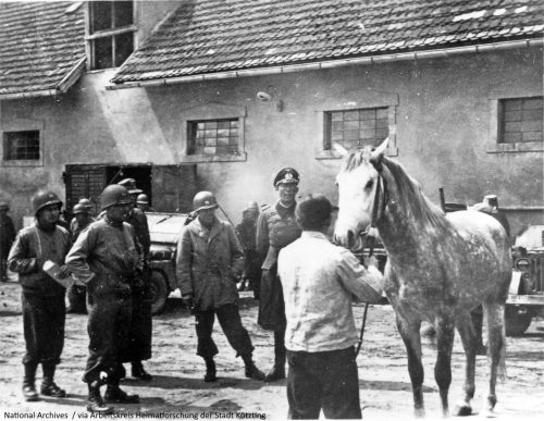 Lipizzaner Hostouň